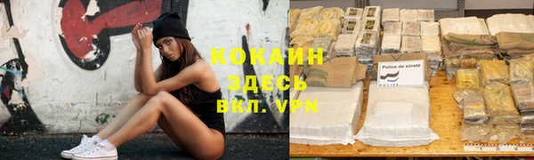 прущие грибы Галич