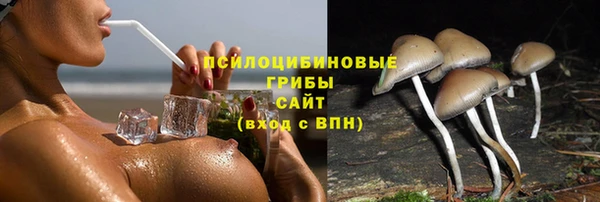 марки lsd Осташков