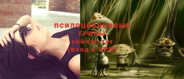 кокс Пересвет