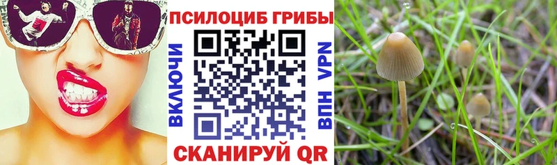 Псилоцибиновые грибы MAGIC MUSHROOMS  Собинка 